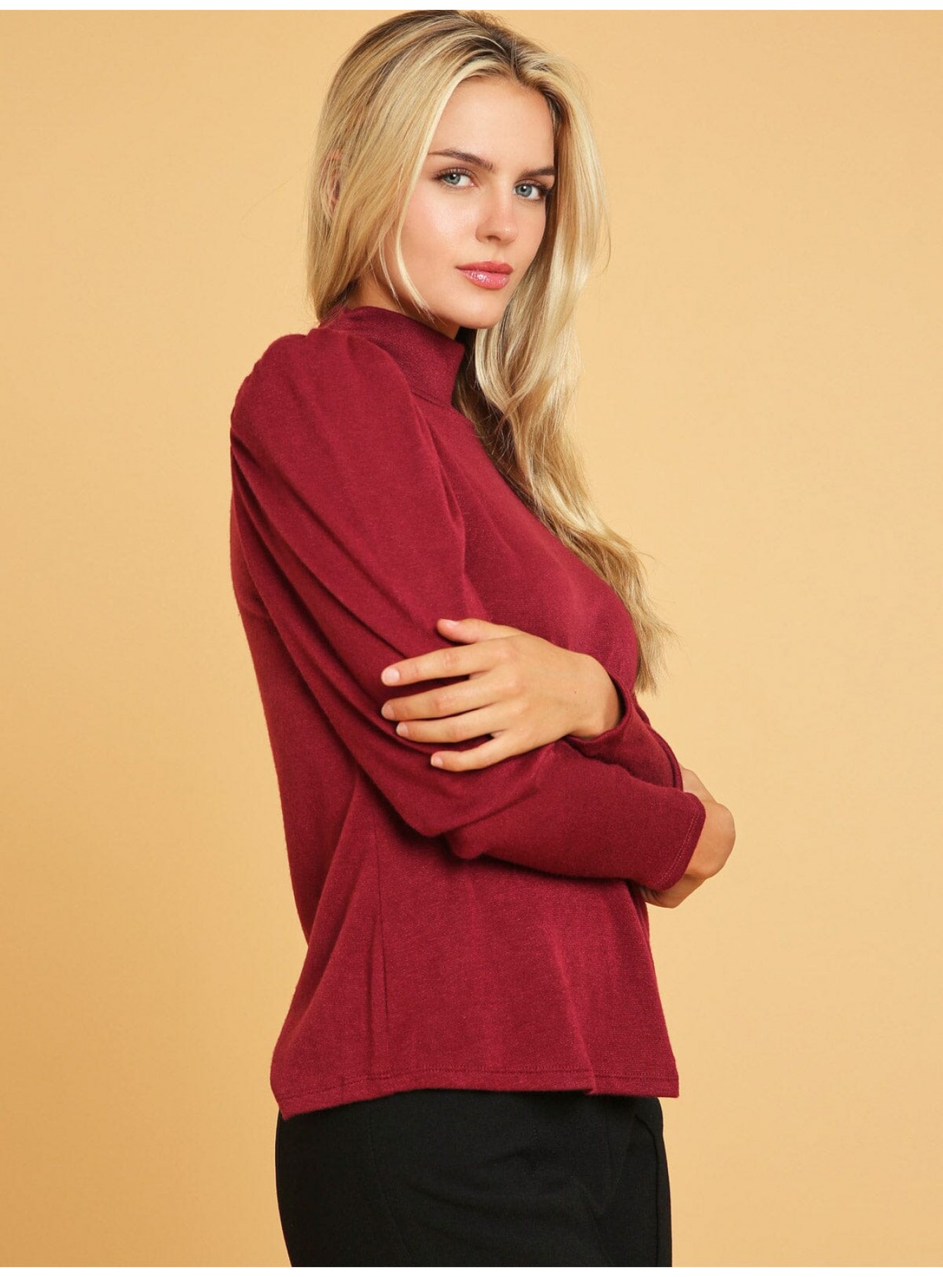 WOMEN'S LONG SLEEVE TURTLE NECK BLOUSE WOMEN'S LONG SLEEVE TURTLE NECK BLOUSE