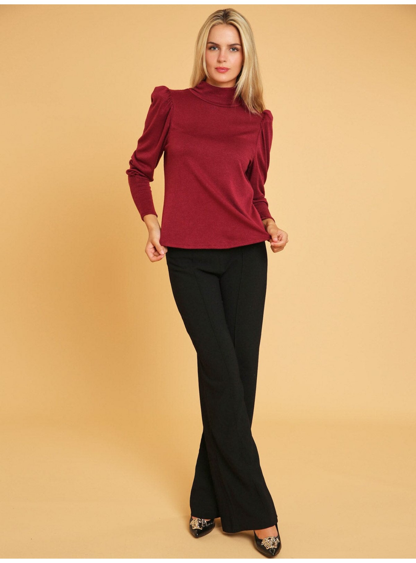 WOMEN'S LONG SLEEVE TURTLE NECK BLOUSE WOMEN'S LONG SLEEVE TURTLE NECK BLOUSE