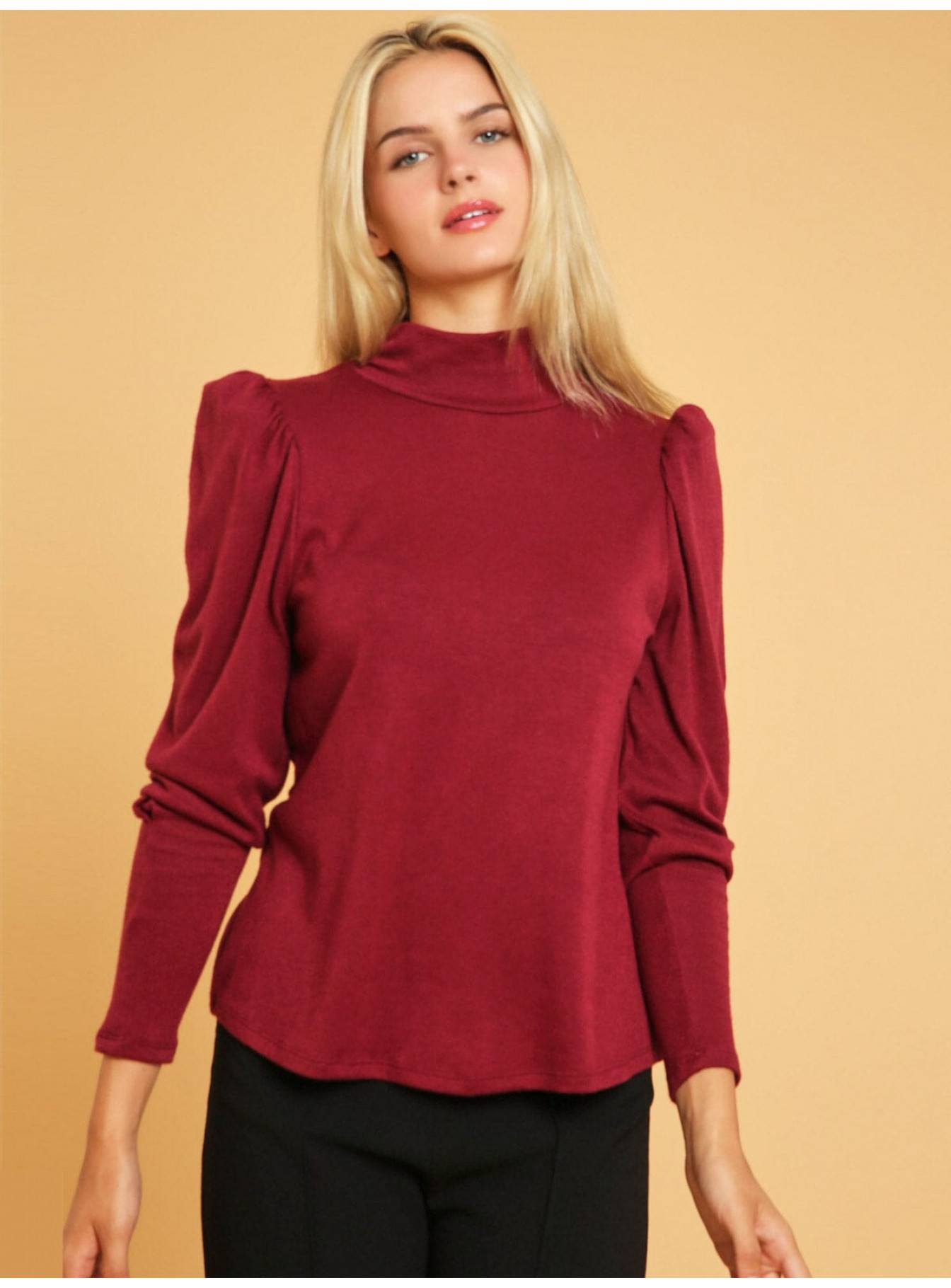 WOMEN'S LONG SLEEVE TURTLE NECK BLOUSE WOMEN'S LONG SLEEVE TURTLE NECK BLOUSE
