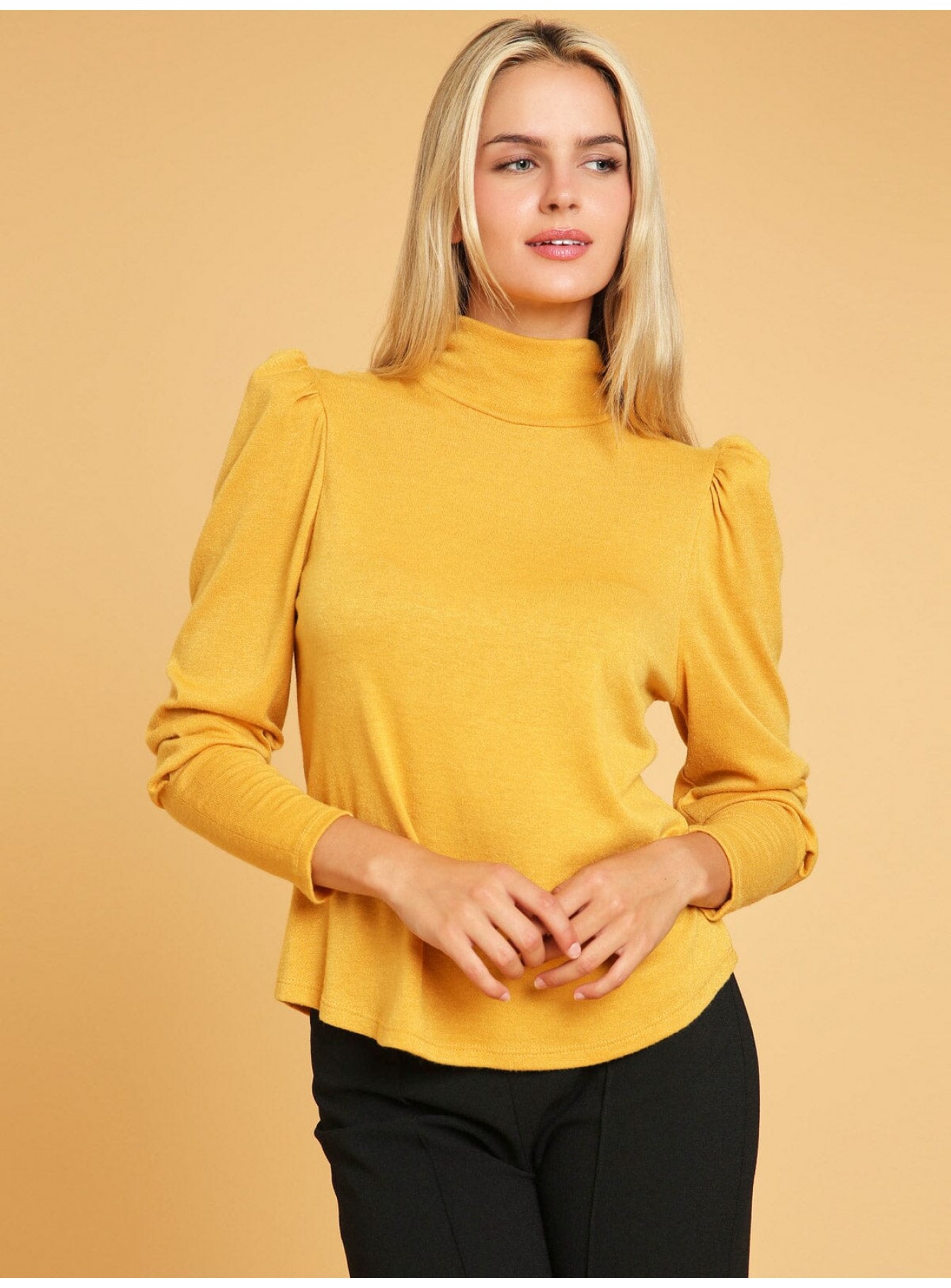 WOMEN'S LONG SLEEVE TURTLE NECK BLOUSE WOMEN'S LONG SLEEVE TURTLE NECK BLOUSE