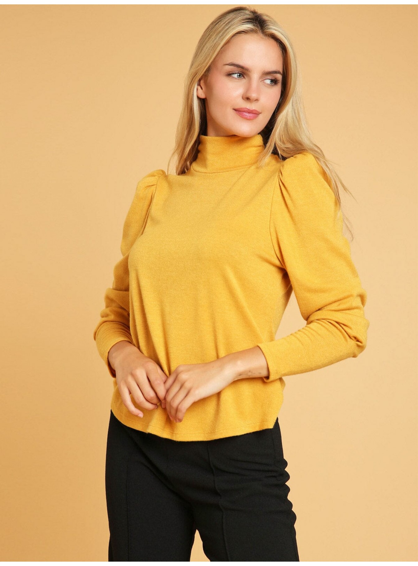 WOMEN'S LONG SLEEVE TURTLE NECK BLOUSE WOMEN'S LONG SLEEVE TURTLE NECK BLOUSE