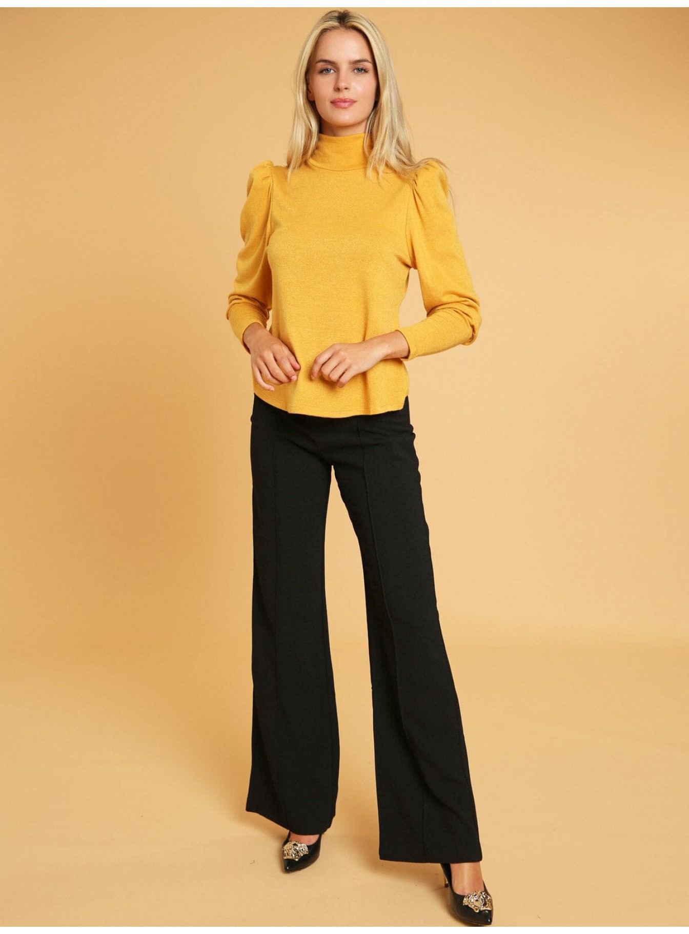 WOMEN'S LONG SLEEVE TURTLE NECK BLOUSE WOMEN'S LONG SLEEVE TURTLE NECK BLOUSE